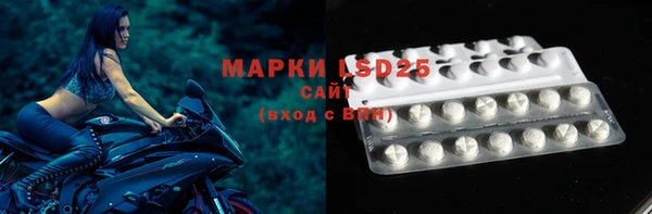 ECSTASY Абаза