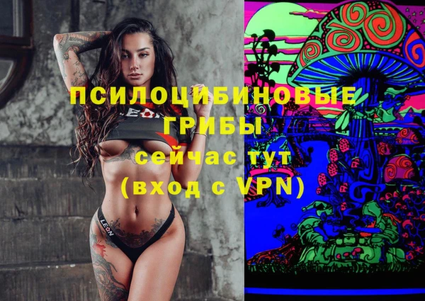 сатива Алзамай