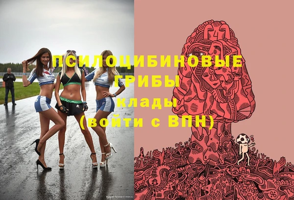 сатива Алзамай