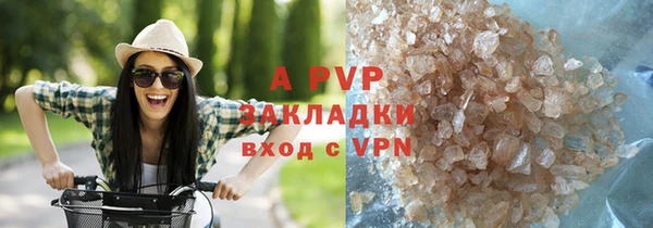 сатива Алзамай