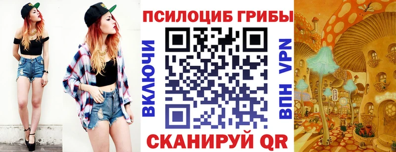 Галлюциногенные грибы MAGIC MUSHROOMS  ссылка на мегу ССЫЛКА  Киржач  дарнет шоп 
